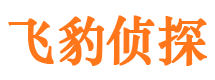 绥芬河市私家侦探